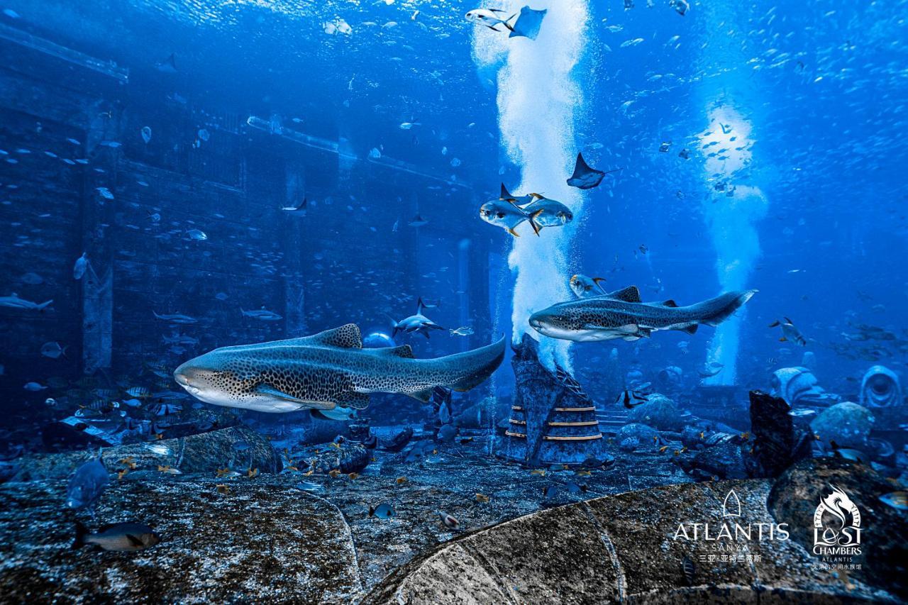 Atlantis Sanya Hotel Exterior photo
